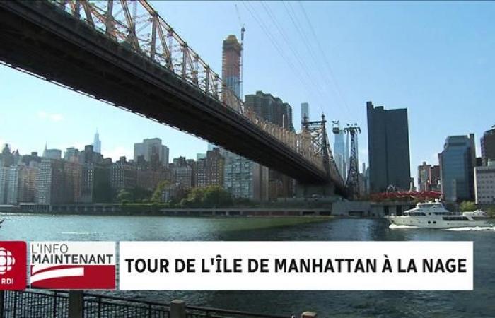 Nuota per 30 miglia sotto i ponti dell’isola di Manhattan