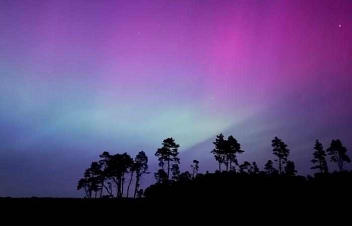 Aurora boreale sulla MV: buone possibilità di avvistamenti nel fine settimana | NDR.de – Notizie