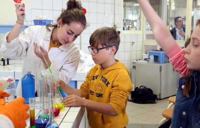 Festival della scienza nel Tarn-et-Garonne: da Beaumont a Saint-Antonin, immergetevi in ​​un oceano di conoscenza