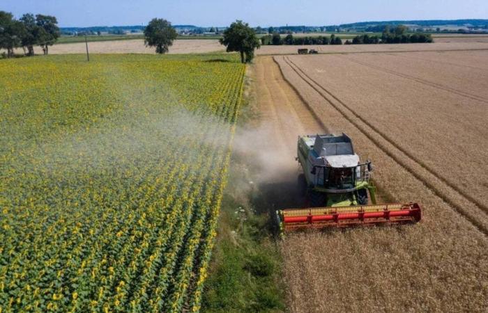 La crescente domanda neo-rurale potrebbe far salire i prezzi dei terreni agricoli