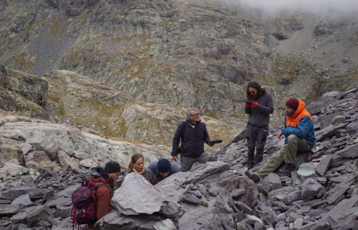 Fossili più antichi dei dinosauri scoperti nelle Alpi Marittime