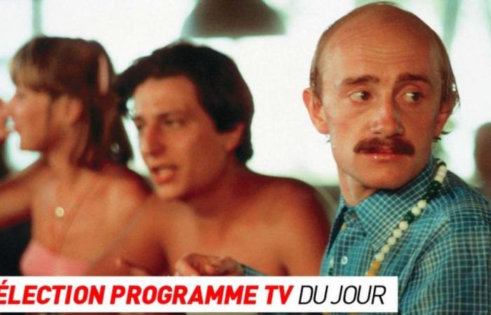 Les Bronzés, Forbidden Zone… cosa vedere stasera in TV?