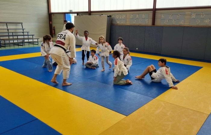 dirigetevi verso il tatami a Yvelines