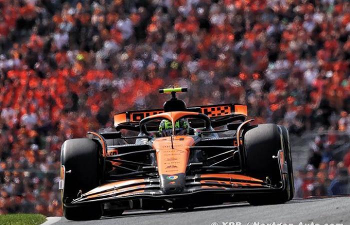 Formula 1 | Hill: Norris ha ‘le qualità’ di un campione del mondo