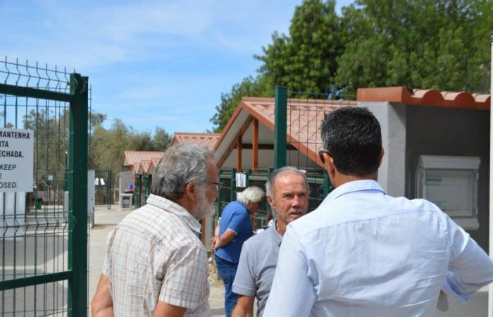 La Giornata internazionale degli animali libera il rifugio pionieristico dell’Algarve da anni di incertezza