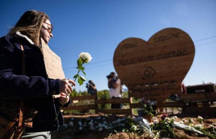 A Mazan, le vittime della violenza marciano in sostegno di Gisèle Pélicot (foto e video)