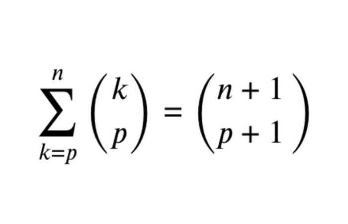 Formula di iterazione di Pascal (escluso il programma ECG)