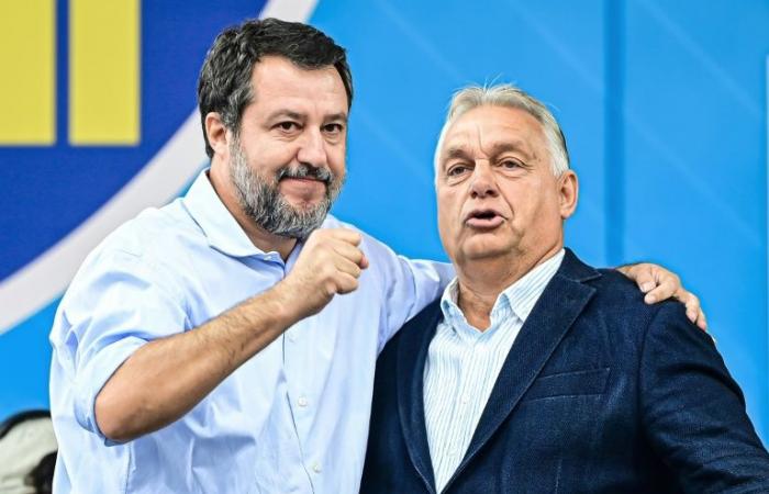 Salvini e Orban attaccano Bruxelles, definita “ecoterrorista” e “burocratica”