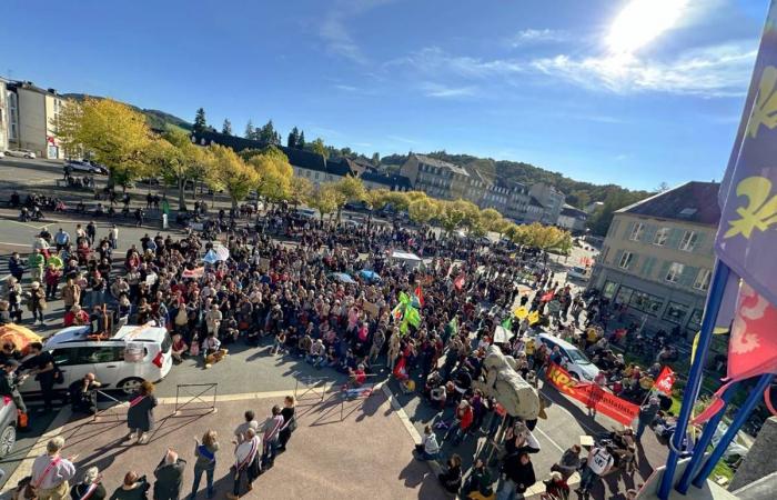 Più di 2.500 persone si sono mobilitate nella Creuse contro le “megafabbriche di legno”