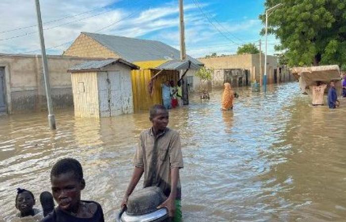 Camerun: i vescovi chiedono una colletta per le vittime delle alluvioni