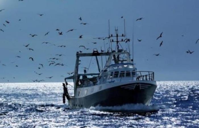 Corte di giustizia dell’Ue: i 27 e diversi Stati membri esprimono il loro attaccamento al partenariato con il Marocco