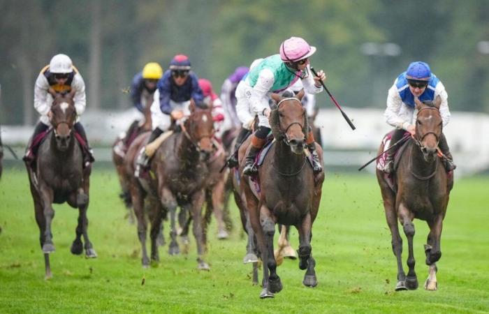 Prix ​​​​de l’Arc de Triomphe 2024: Le reazioni dei sconfitti