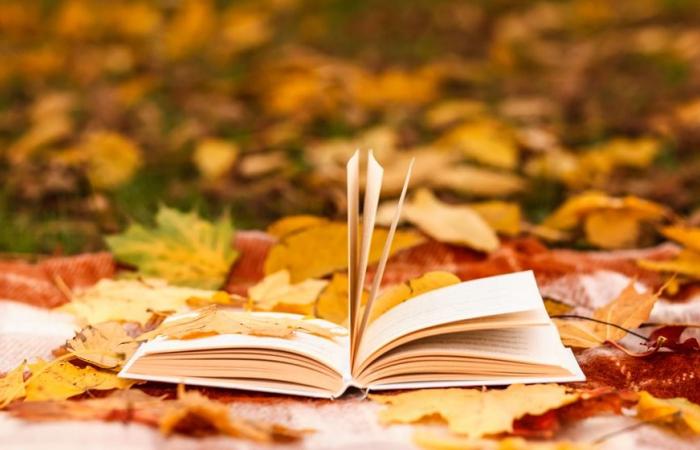 Libri, i must del mese di ottobre – DECIDEURS MAGAZINE