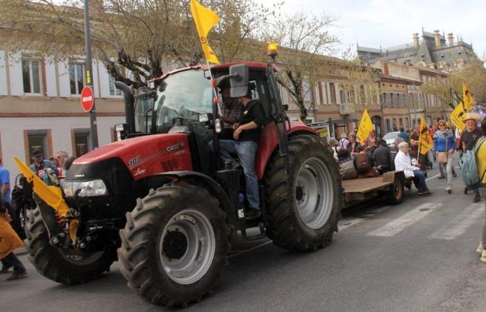 Yves e Jean-Luc sono tornati alle origini dell’agricoltura contadina del Nord e del Pas-de-Calais