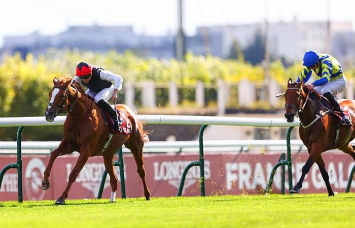 Longchamp (Gr.1): Potenza Kyprios 8