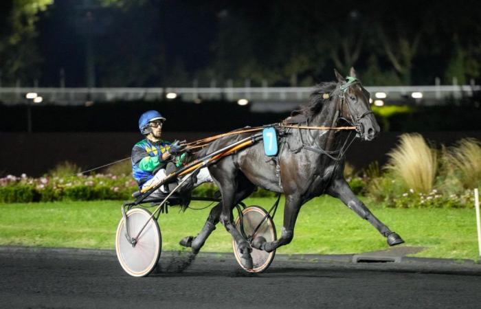 Helecho favorito del quinte del 7 ottobre 2024 a Enghien con Eric Raffin