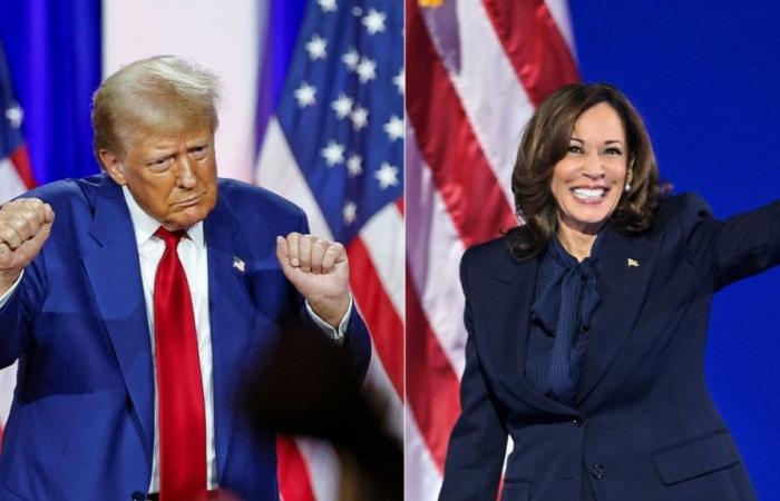 Trump e Harris testa a testa: cosa dobbiamo ricordare della campagna americana degli ultimi giorni?