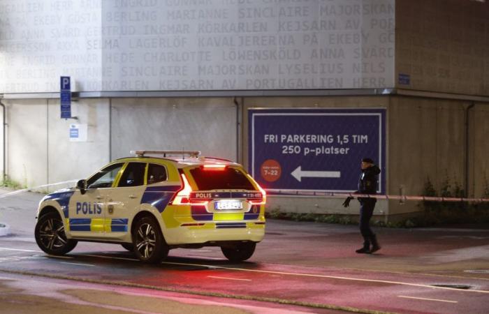 Svezia: un colpo ferito in un centro commerciale svedese