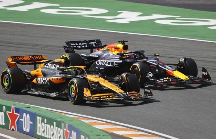 Formula 1 | Hill: Norris ha ‘le qualità’ di un campione del mondo