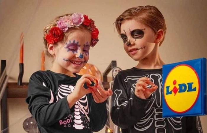 Lidl avrà un grande successo con i suoi costumi di Halloween a meno di 10 euro – Tuxboard