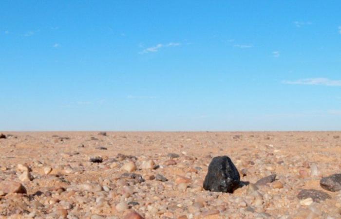 Scoperta di meteoriti: la Fondazione Attarik sottolinea il ruolo del Marocco al Festival della Scienza 2024