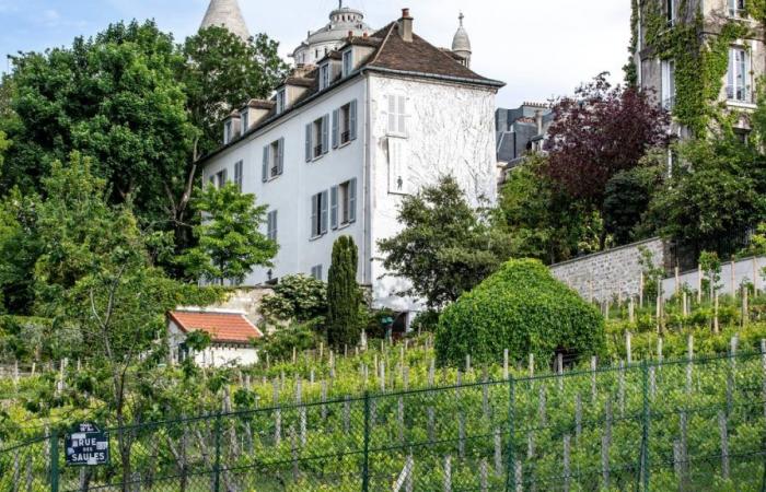 4 motivi per non perdersi la Festa della Vendemmia di Montmartre