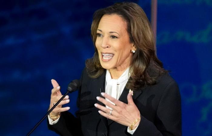 Gli Stati Uniti continueranno a “fare pressione” su Israele per il cessate il fuoco (Kamala Harris)