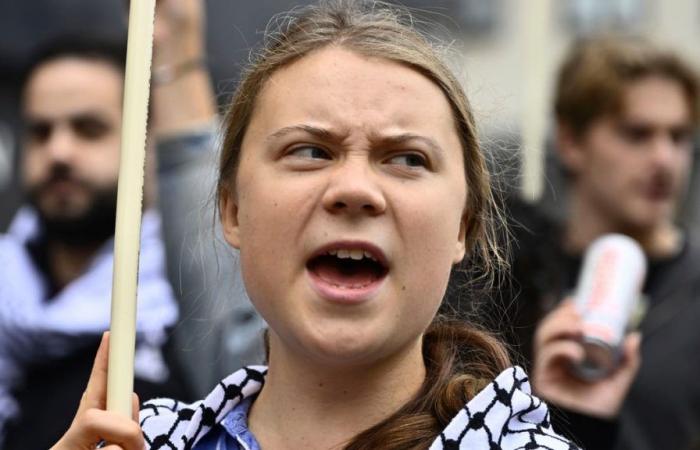 Greta Thunberg arrestata durante una manifestazione a Bruxelles