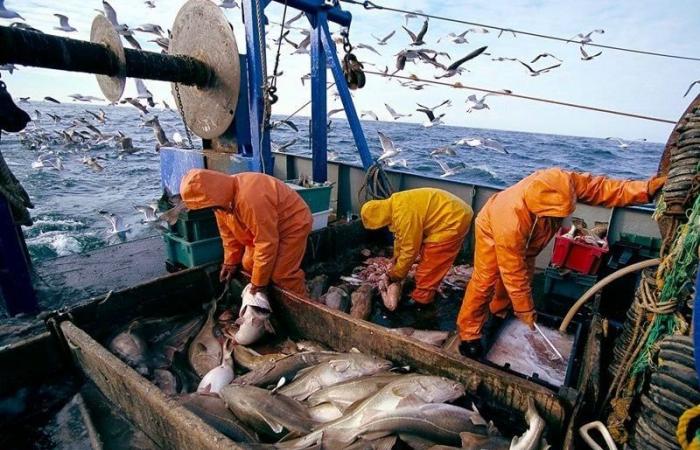 Fine degli accordi di pesca Ue-Marocco, “opportunità” per ridefinire le alleanze economiche