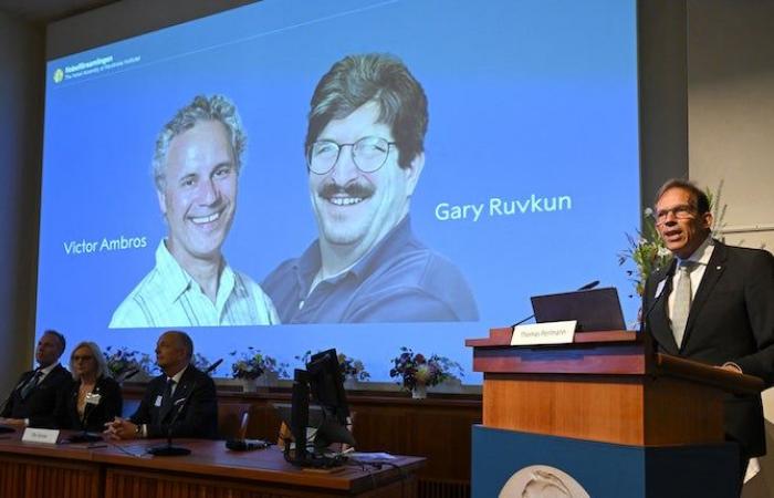 Chi sono Victor Ambros e Gary Ruvkun, i due ricercatori che hanno appena vinto il Premio Nobel per la Medicina per la scoperta dei microRNA?