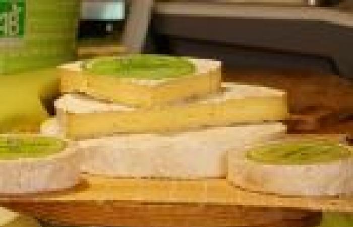 Parigi per gli amanti del formaggio: i nostri buoni indirizzi e consigli