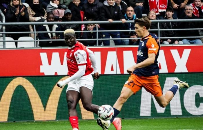 reazioni Stade de Reims-Montpellier