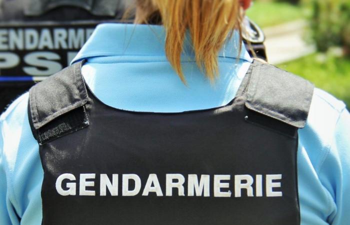 I gendarmi non si aspettavano di trovarlo durante una perquisizione a Gard