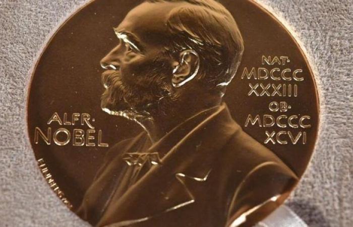 Victor Ambros e Gary Ruvkun hanno assegnato il Premio Nobel per la Medicina 2024