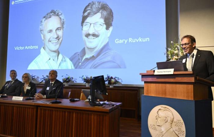 Due americani ricevono il Premio Nobel per la Medicina per la scoperta del micro-RNA