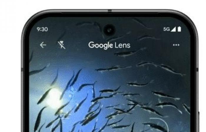 Panoramica AI e Google Lens: AI per le tue ricerche e i tuoi acquisti