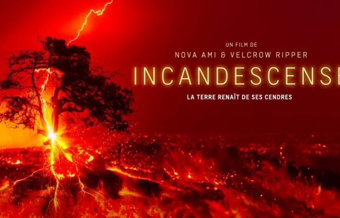 La NFB a Toronto: il documentario Incandescente è stato presentato in anteprima mondiale al festival Planet in Focus