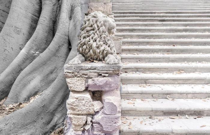 Dal Ragusa Foto Festival alla scoperta di Seuil, con Mario Cresci