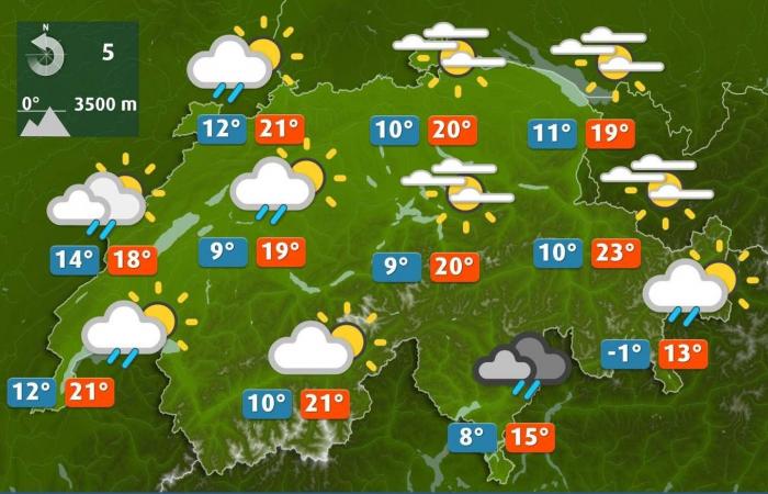 le belle e le brutte notizie della settimana