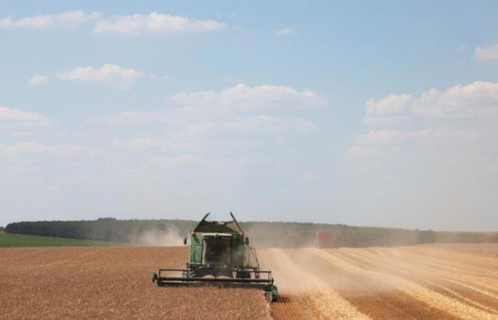 Dove sono i prezzi dei terreni agricoli più alti in Francia?