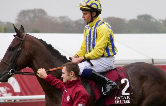 cavallo muore durante il Premio dell’Arco di Trionfo del Qatar