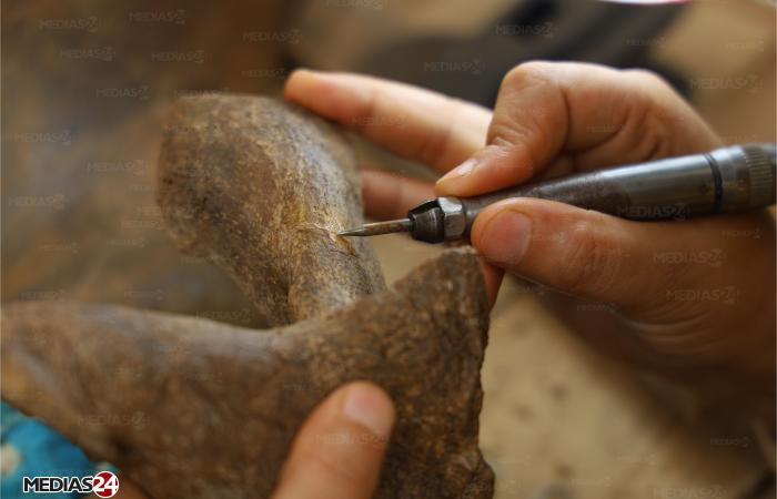 INDAGINE. La corsa alle ossa, ovvero il commercio di fossili in Marocco (1/3)