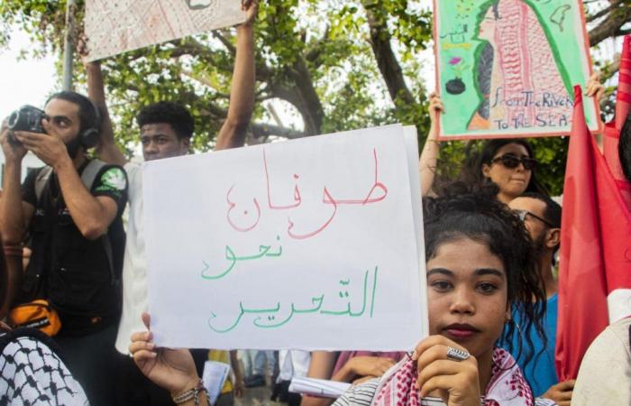 Tunisi: Marcia a sostegno di Palestina e Libano (Foto)