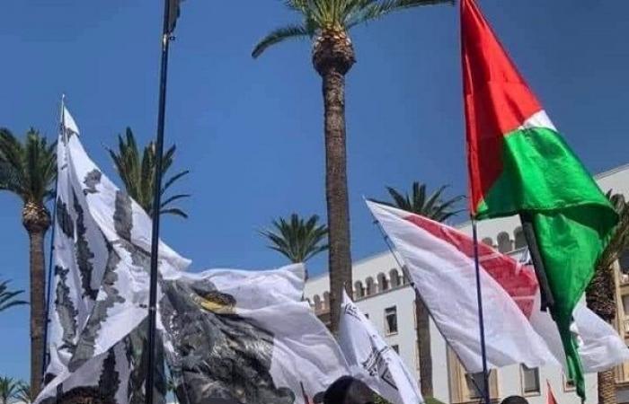 Marea umana a Rabat in una grande marcia a sostegno della Palestina e del Libano