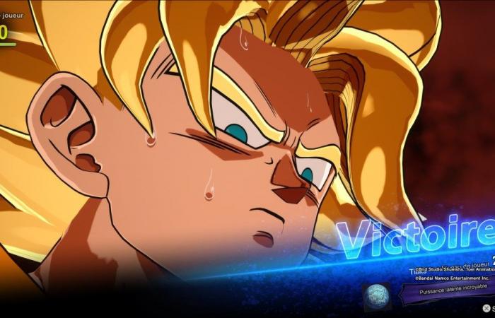 Test: Dragon Ball scintilla! ZERO – Il degno erede