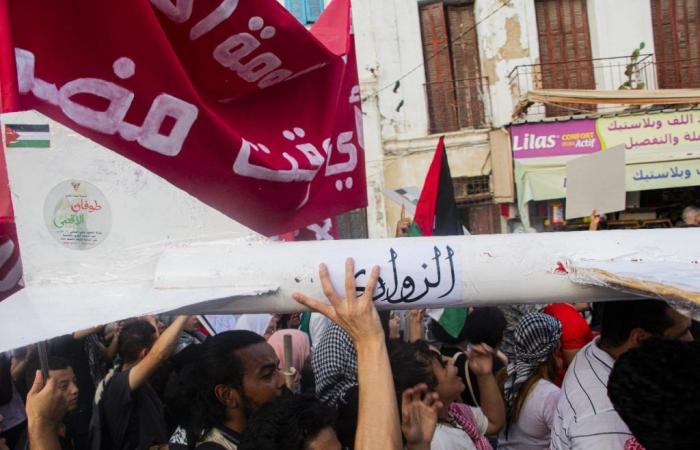 Tunisi: Marcia a sostegno di Palestina e Libano (Foto)