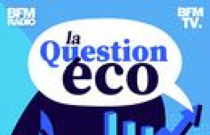 Il tenore di vita dei pensionati è davvero più alto di quello della popolazione francese?