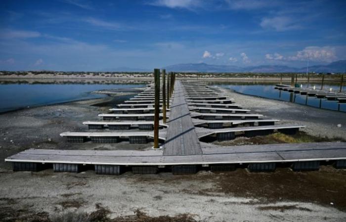 Nonostante il prosciugamento del Grande Lago Salato, lo Utah perdona lo scetticismo di Trump sul clima – 07/10/2024 alle 05:52