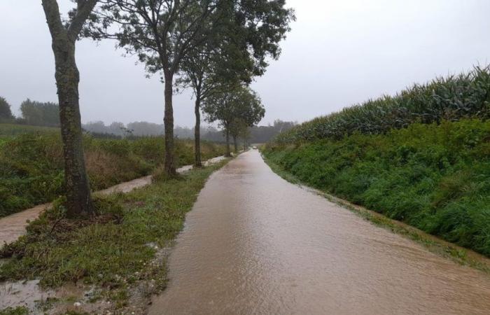 Saône-et-Loire: Météo France mette il dipartimento in allerta arancione per piogge e inondazioni