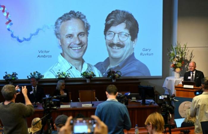 Premio Nobel per la medicina: gli americani Ambros e Ruvkun si sono distinti per i progressi nella regolazione genetica – 07/10/2024 alle 22:55